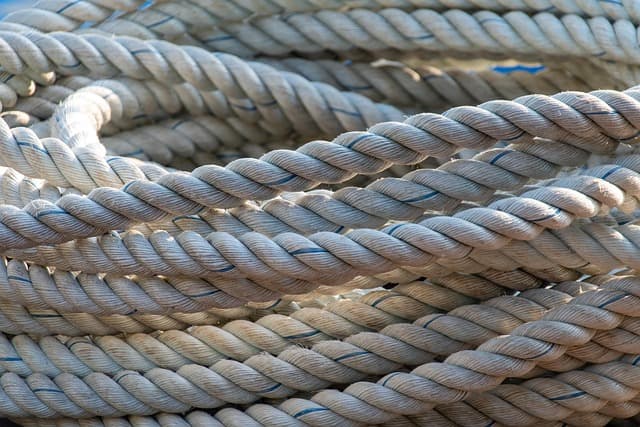 Vaisselle Durable Économique : Guide d'Achat
